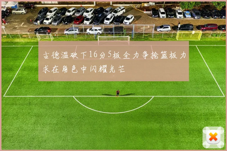 古德温砍下16分5板全力争抢篮板力求在角色中闪耀光芒