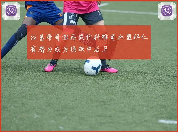 拉基蒂奇推荐武什科维奇加盟拜仁有潜力成为顶级中后卫